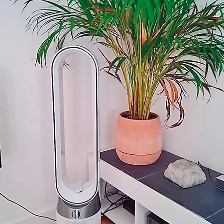 Trendy & Sunny In Daire *