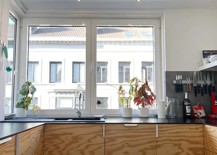 Trendy & Sunny In Gand